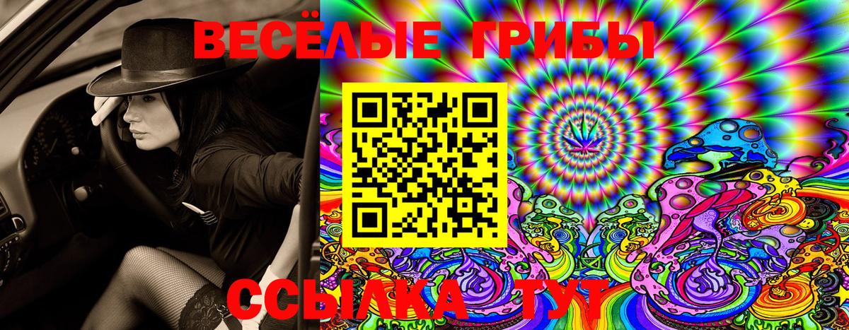 Выборг  Галлюциногенные грибы Magic Shrooms  закладка  Вход с VPN 