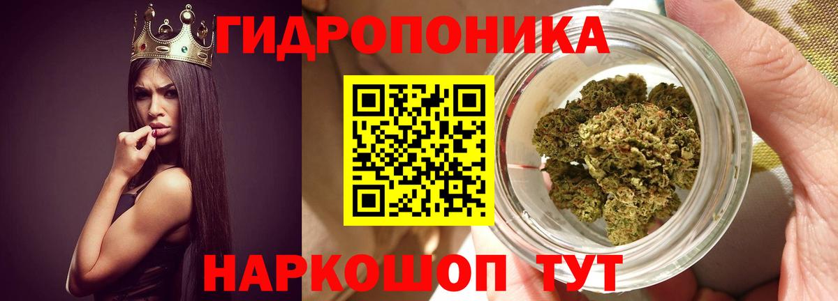 Бошки марихуана White Widow  Вход с VPN  Каннабис планчик  Выборг  Каннабис гибрид  Бошки Шишки SATIVA & INDICA 